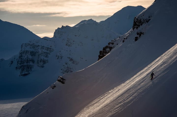 On Evaluating Risk Tolerance in Partnerships